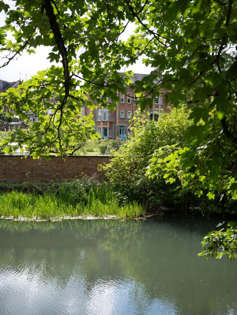 The image depicts a serene riverside scene viewed through a canopy of green leaves, with branches extending across the top of the frame. In the foreground, calm water reflects the surrounding foliage, creating a gentle rippling effect. Behind the water, there is a narrow strip of lush, tall grass and dense bushes that grow along the riverbank, adding texture and a natural barrier between the water and the background structures. A grey brick wall runs horizontally across the middle of the image, separating the natural environment from a cluster of brick residential buildings with various windows and balconies, some with blue and white details. The buildings are partially obscured by the greenery, suggesting the river is in an urban setting. The lighting is bright and natural, indicating a sunny day, with dappled sunlight filtering through the tree leaves, enhancing the vibrant green tones. This scene visually contextualizes an alternative waste handling environment with natural surroundings contrasted with urban residential development, aligning with the theme of independent or private rubbish clearance services such as those offered by House Clearance Barnes in SW13, Barnes.