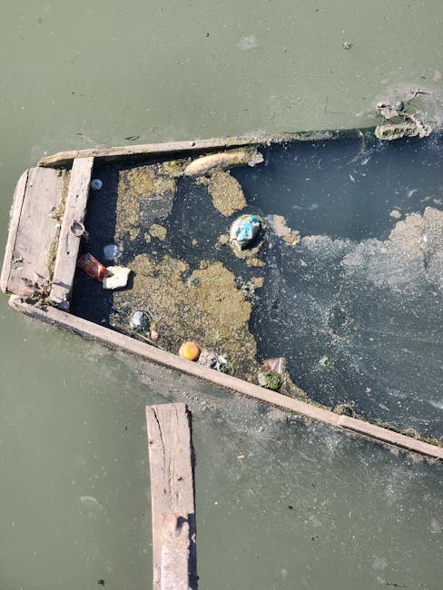 A weathered, rectangular wooden frame constructed from aged, greyish-brown planks with visible grain and some signs of deterioration, floats in a body of murky green water. Inside the frame, there is accumulated debris including a broken plastic bottle, a crushed aluminum can, a small orange rubber ball, and a blue plastic orb, all partially submerged or resting on a dark, algae-slicked surface. The water within the frame appears stagnant, with patches of algae and organic matter creating a slimy appearance and a thin film of greenish slime covering parts of the debris. The surrounding water outside the frame is a consistent murky green, with the texture of the surface appearing smooth and slightly reflective. The scene suggests an environment where refuse has inadvertently or intentionally collected, highlighting issues of pollution and waste build-up that could be addressed through private rubbish removal or on-site clearance services, such as those offered by House Clearance Barnes, in a professional and environmentally conscious manner.
